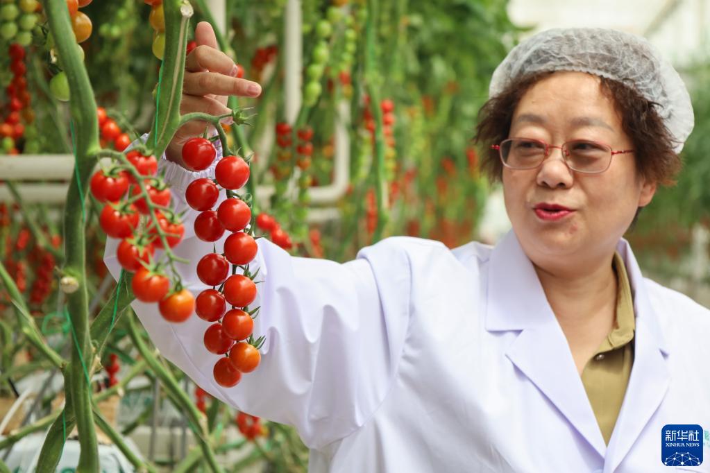 ??????? ??????? ?? ????? ????