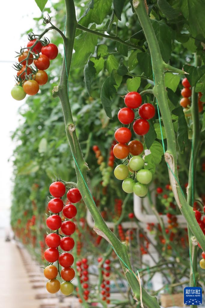 ??????? ??????? ?? ????? ????