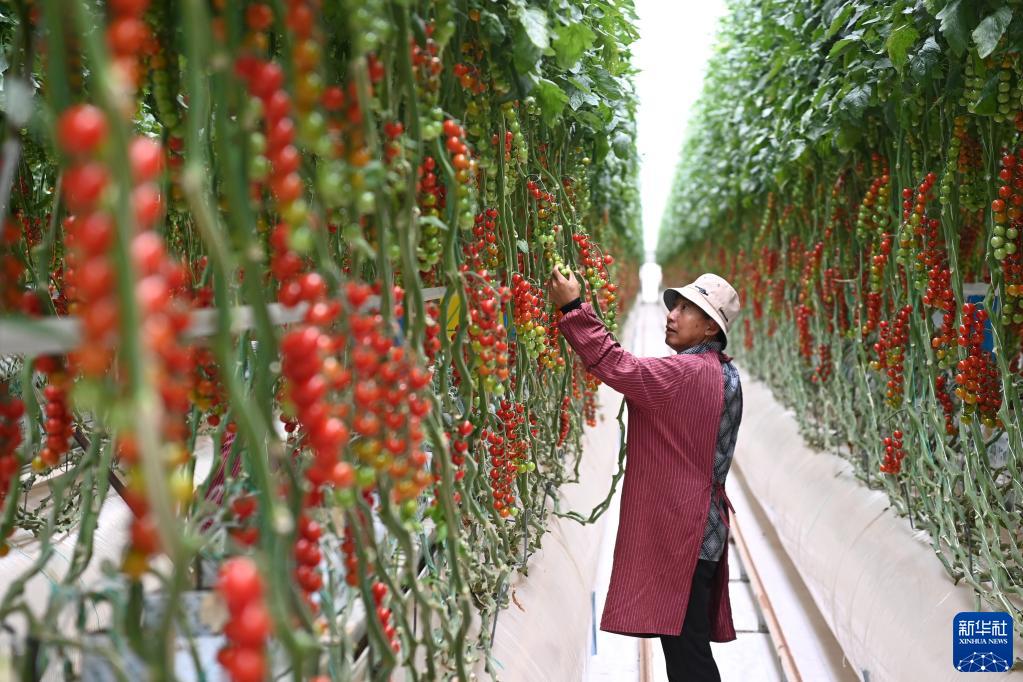 ??????? ??????? ?? ????? ????