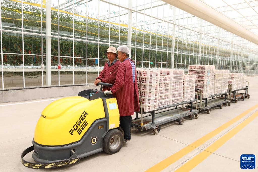 ??????? ??????? ?? ????? ????