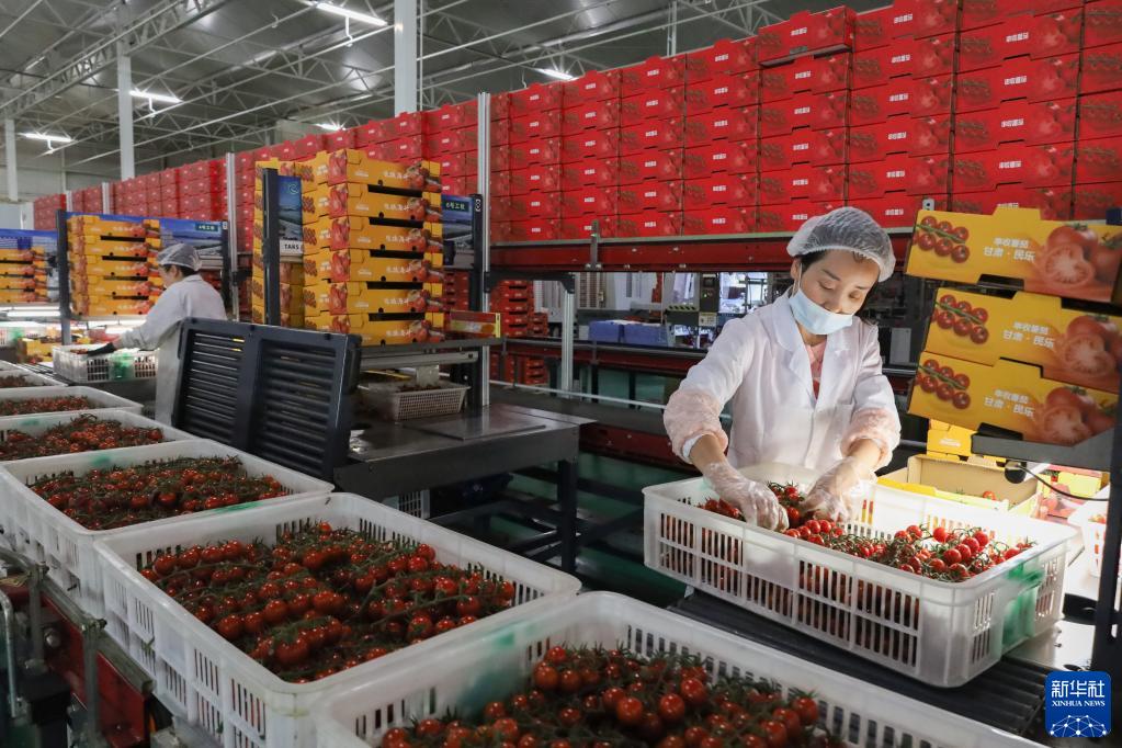 ??????? ??????? ?? ????? ????