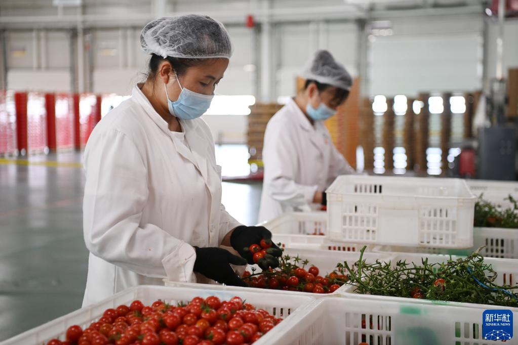 ??????? ??????? ?? ????? ????