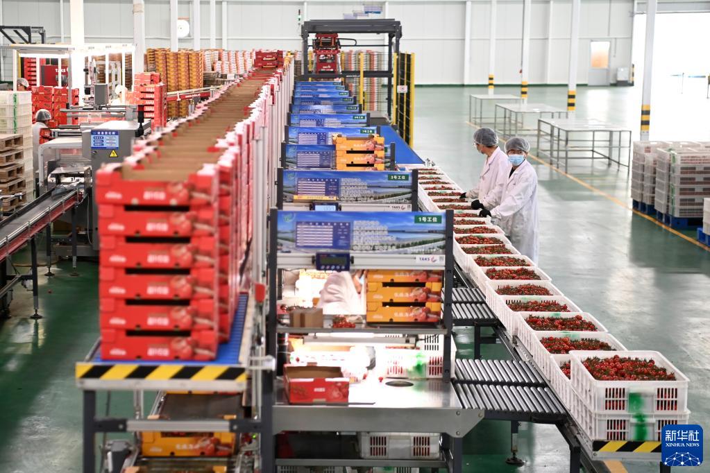 ??????? ??????? ?? ????? ????