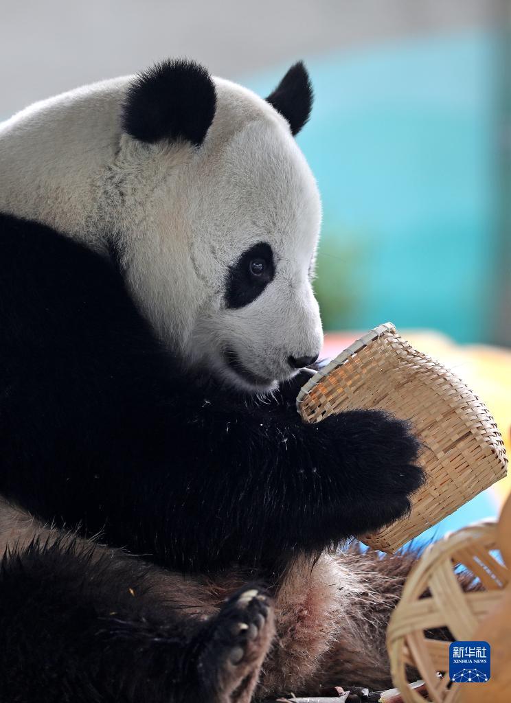 ?? ????? ?????? ?????? ?????