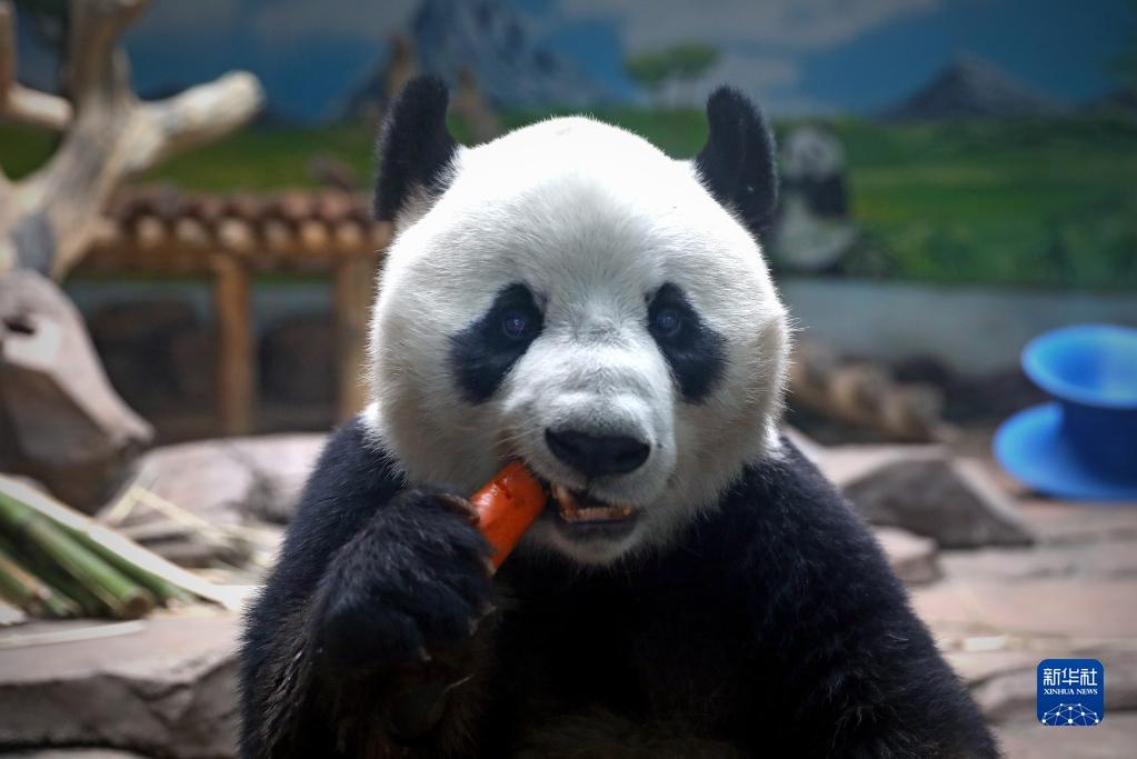 ?? ????? ?????? ?????? ?????