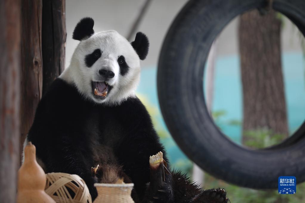 ?? ????? ?????? ?????? ?????