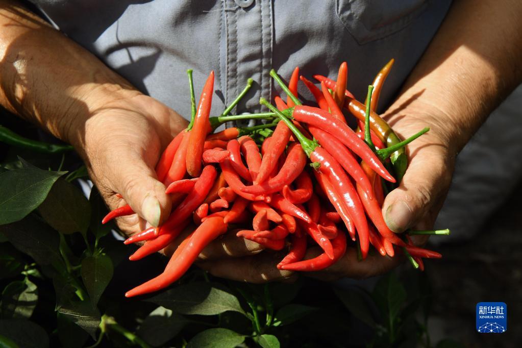 ????? ?????? ???? ????? ???????? ????????? ?? ????