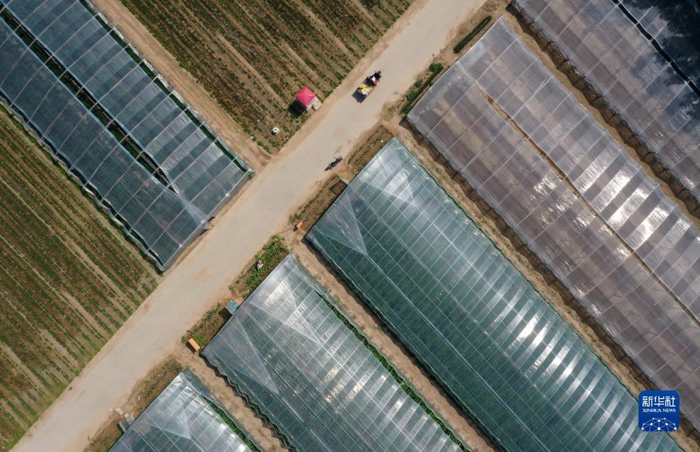 ????? ?????? ???? ????? ???????? ????????? ?? ????