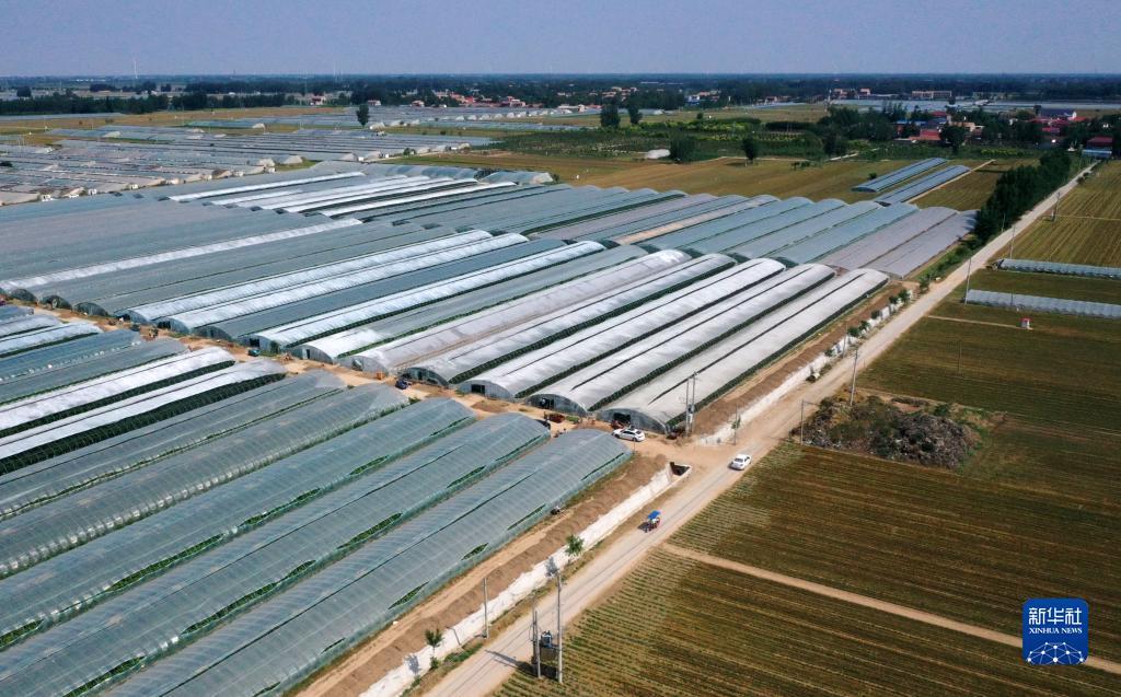 ????? ?????? ???? ????? ???????? ????????? ?? ????