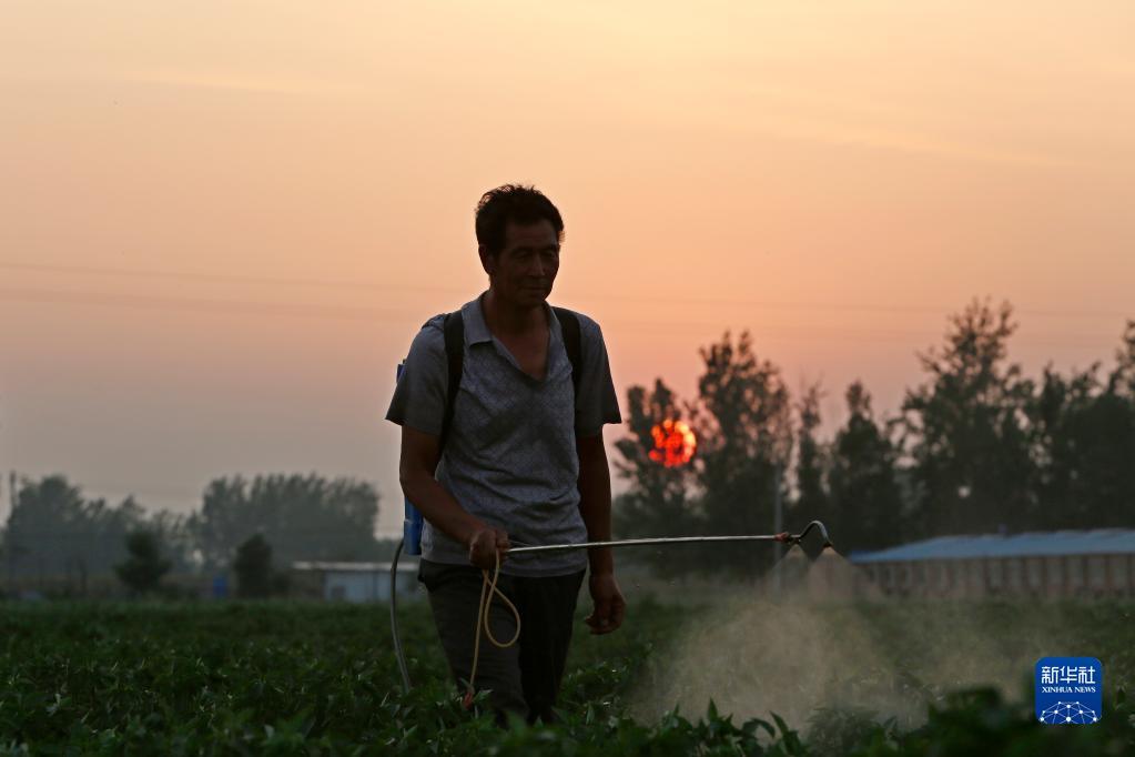 ????? ?????? ???? ????? ???????? ????????? ?? ????