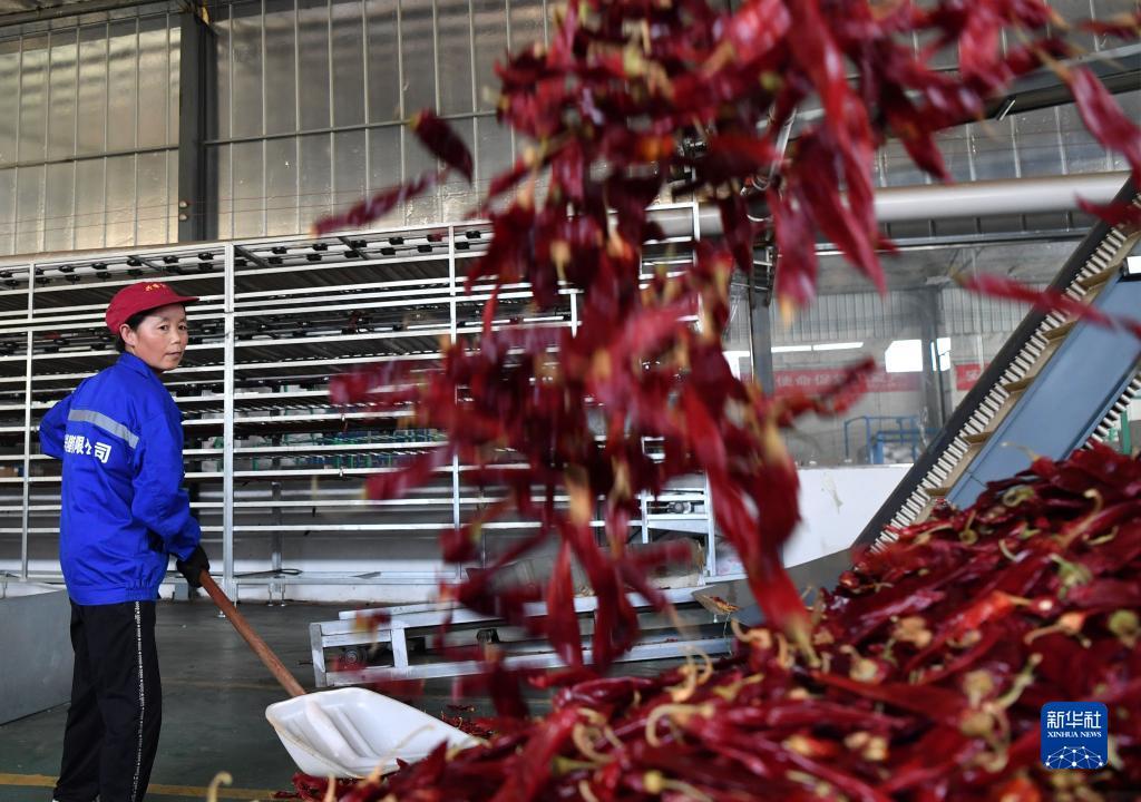 ????? ?????? ???? ????? ???????? ????????? ?? ????