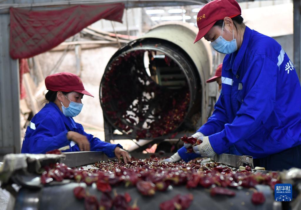 ????? ?????? ???? ????? ???????? ????????? ?? ????