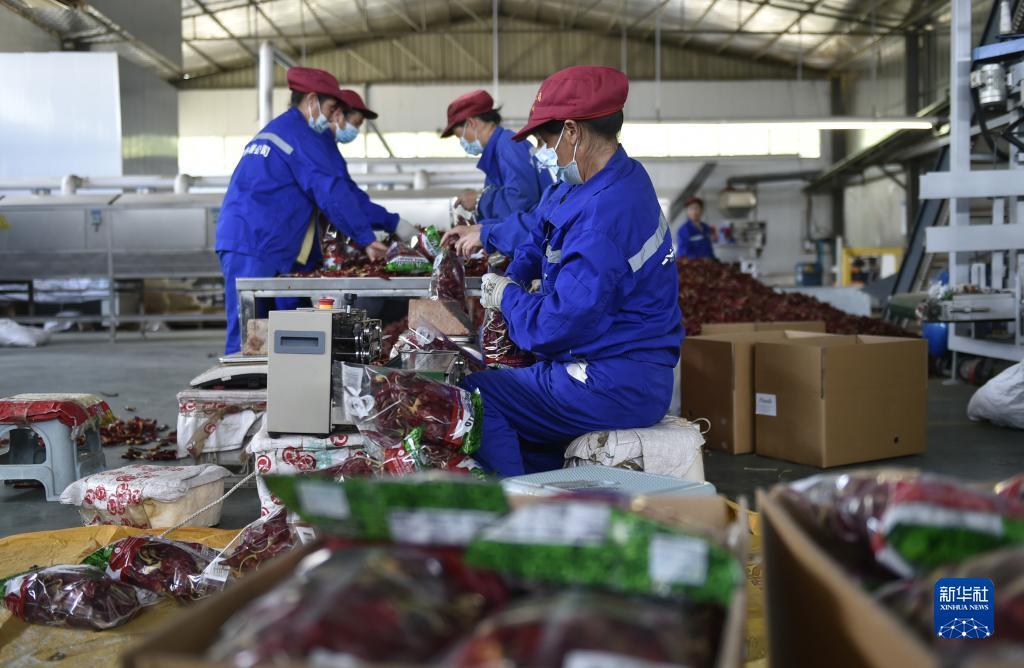 ????? ?????? ???? ????? ???????? ????????? ?? ????