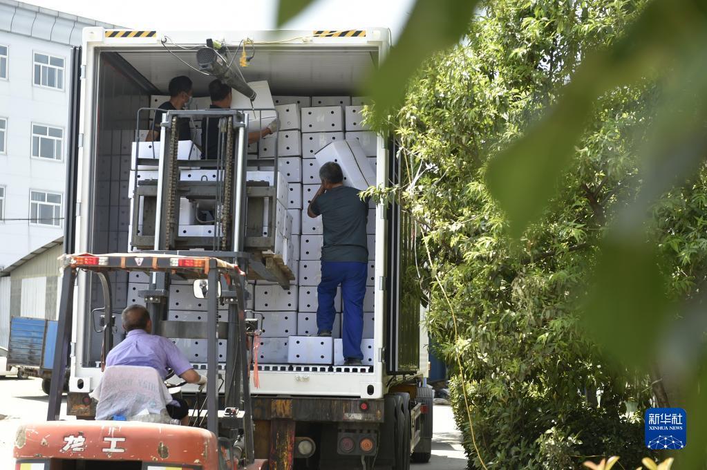 ????? ?????? ???? ????? ???????? ????????? ?? ????