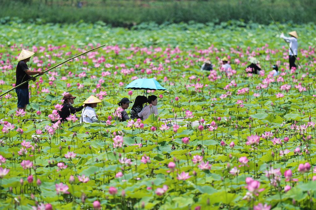 ??????: ???? ???? ?????? ?? ?????