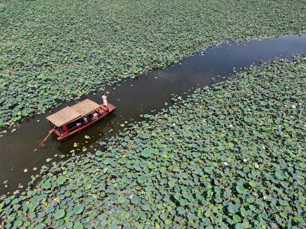 ??????: ???? ???? ?????? ?? ?????