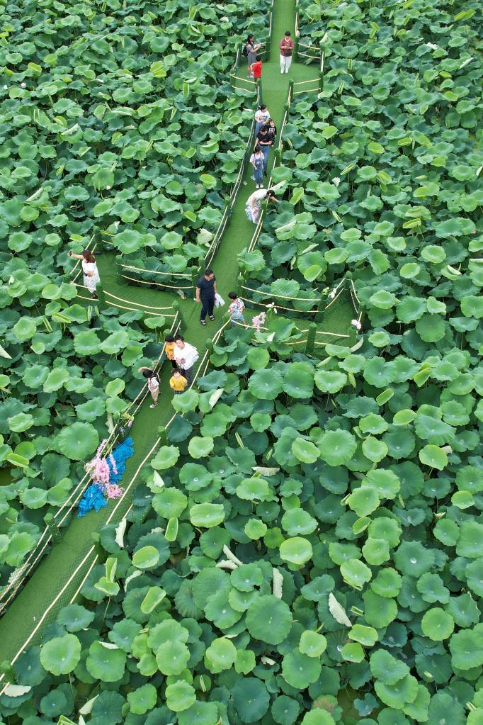 ??????: ???? ???? ?????? ?? ?????