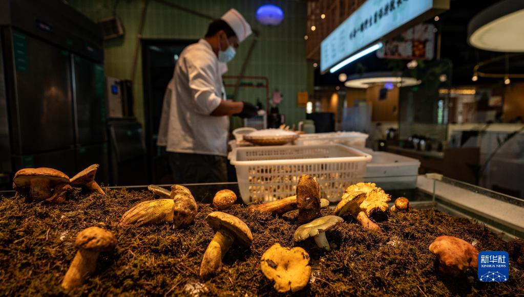 ???? ??????? ???? ????? ????? ????? ?? ????? ??????