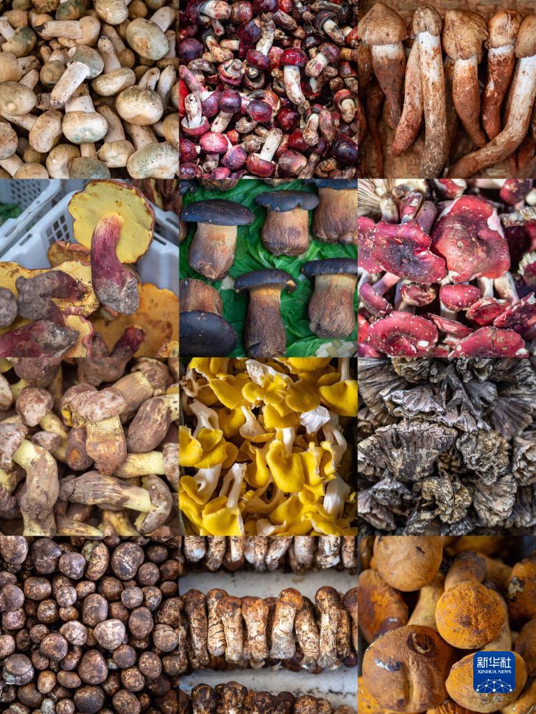 ???? ??????? ???? ????? ????? ????? ?? ????? ??????