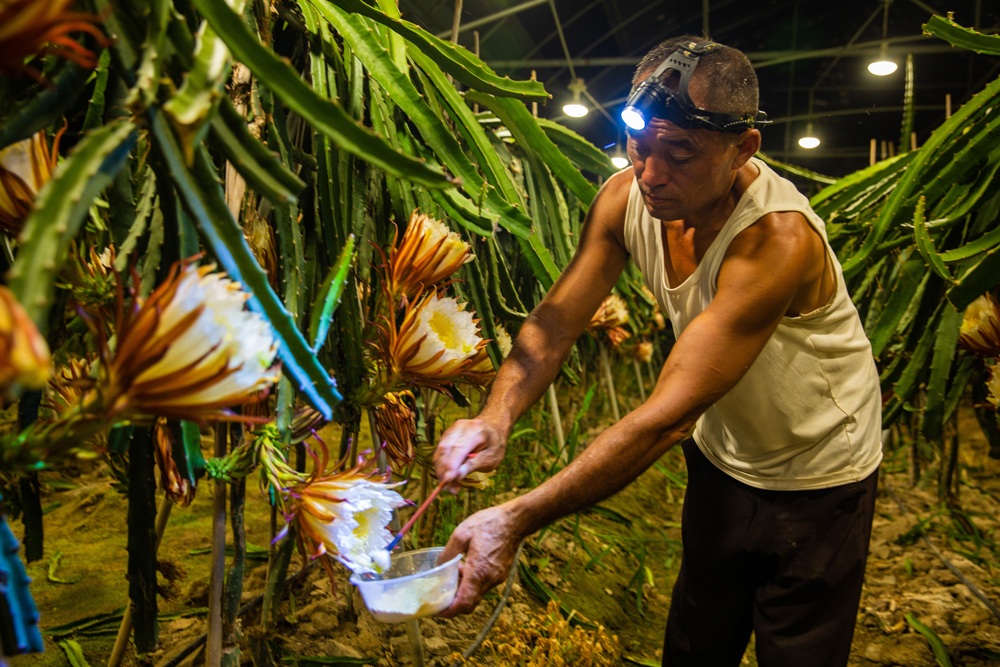 ?????? ??????: ??????? ???????? ?? ????? ?????? ????? ????? ??????