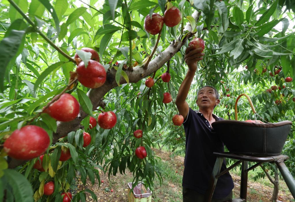 ??????: ???? ???? ????? ?? ????? ?????