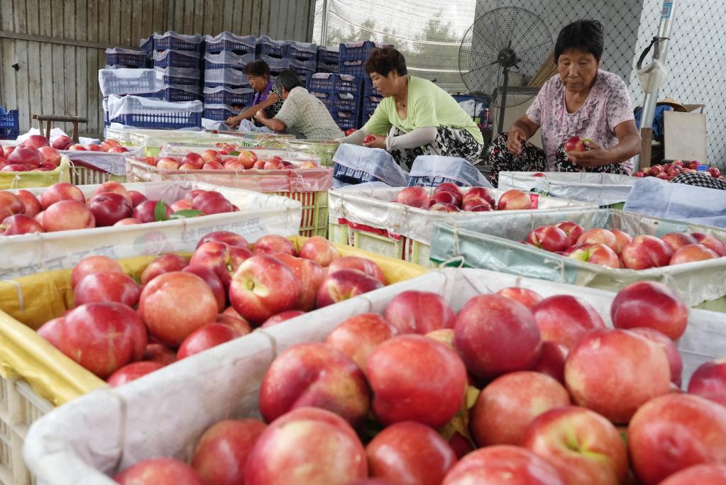 ??????: ???? ???? ????? ?? ????? ?????