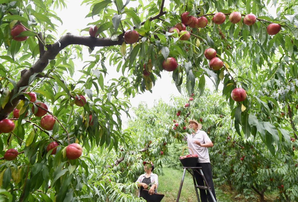 ??????: ???? ???? ????? ?? ????? ?????