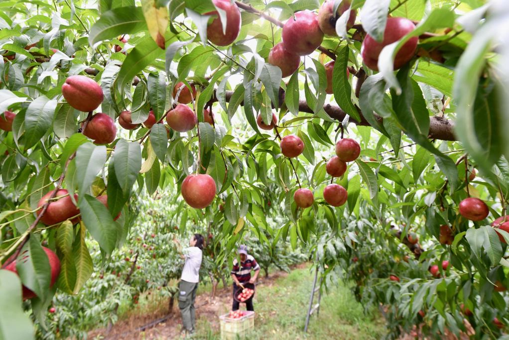 ??????: ???? ???? ????? ?? ????? ?????