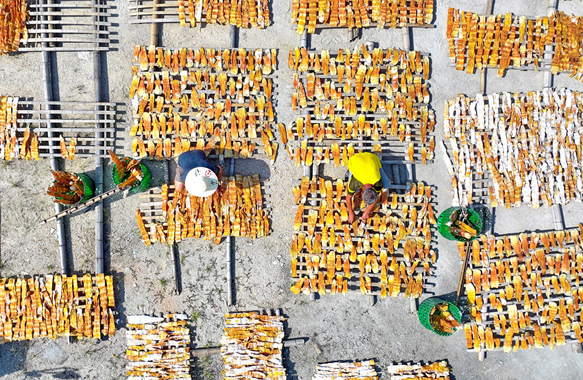 ?????? ???????: ????? ????? ???????? ?????? ???? ???? ????? ???????? ???????? ??? ???????? ???????? ??? ????? ???????? ????????