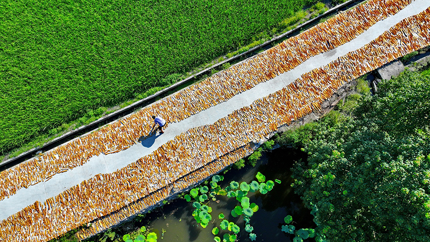 ?????? ???????: ????? ????? ???????? ?????? ???? ???? ????? ???????? ???????? ??? ???????? ???????? ??? ????? ???????? ????????