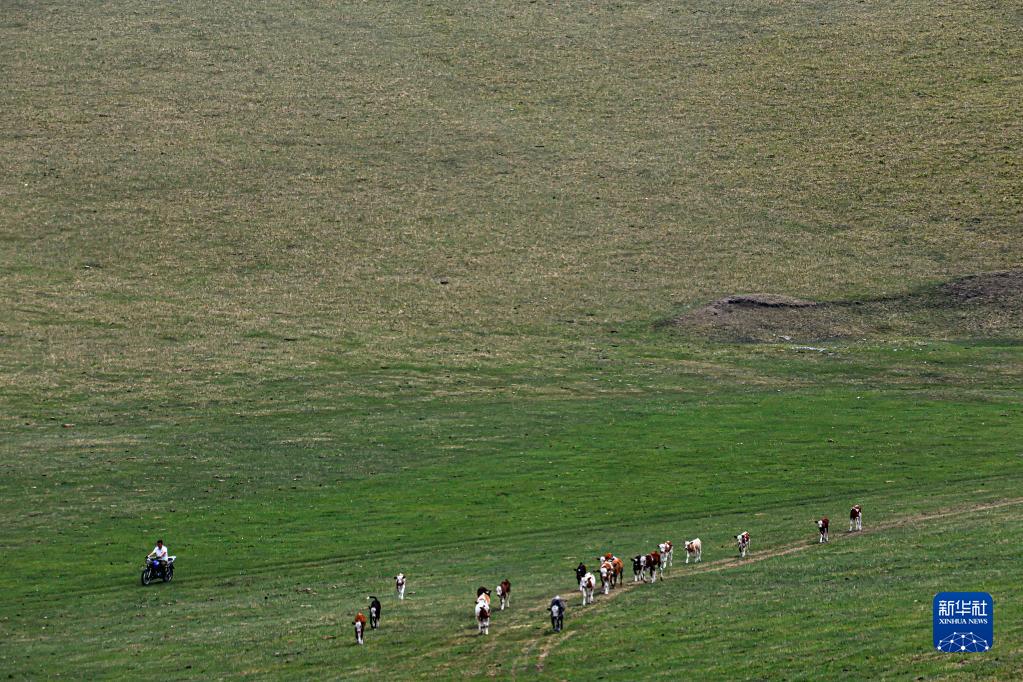 ??? ?? ??????? ????????: ?????? ???????? ???? ?? ????? ??? ????? ????????? ????