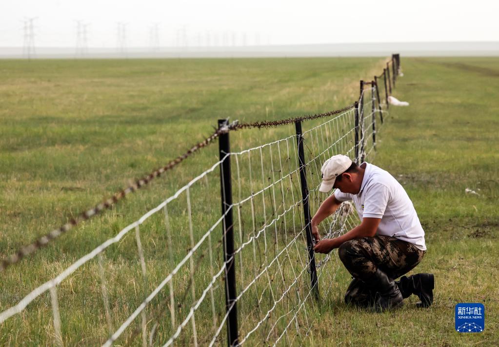 ??? ?? ??????? ????????: ?????? ???????? ???? ?? ????? ??? ????? ????????? ????