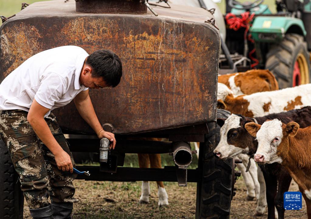 ??? ?? ??????? ????????: ?????? ???????? ???? ?? ????? ??? ????? ????????? ????