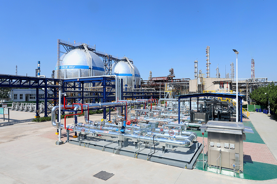 ???? ????? ???? ???? ???? ????? ??????? ???? ????? ?????