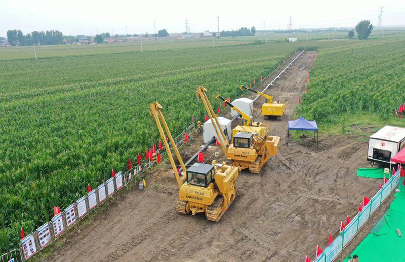 ???? ????? ???? ???? ???? ????? ??????? ???? ????? ?????