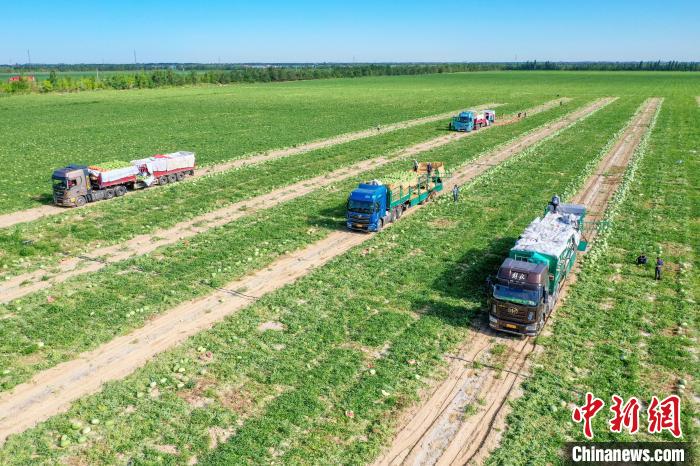 ??????? (????????) ?????? ?????? ????? ?? ??????