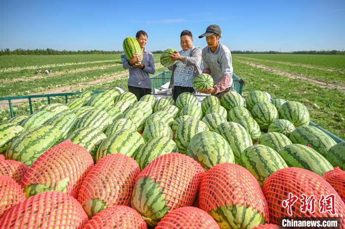 ??????? (????????) ?????? ?????? ????? ?? ??????