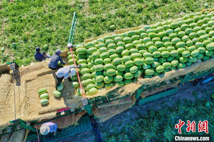 ??????? (????????) ?????? ?????? ????? ?? ??????