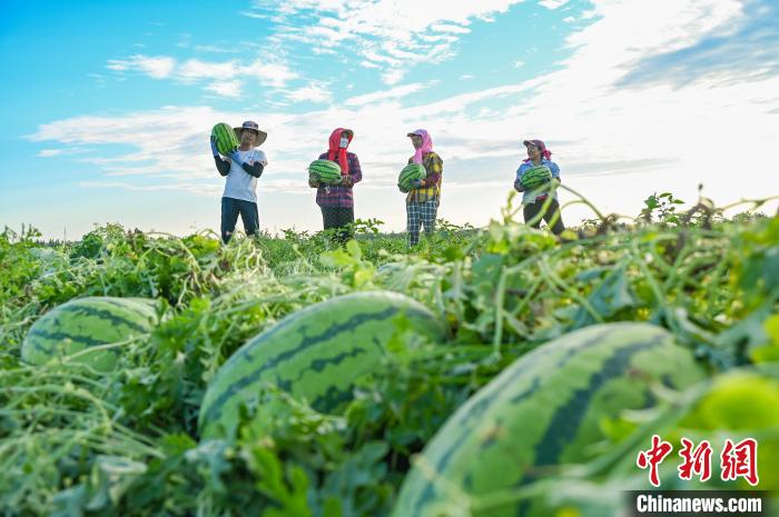 ??????? (????????) ?????? ?????? ????? ?? ??????