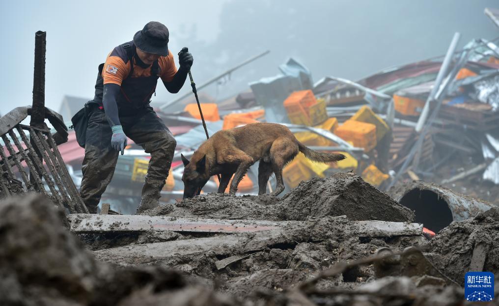 ?????? ????? ???? ??????? ??????? ?? ????? ???????? ??? 37 ??? ???? 9 ?? ???? ?????????