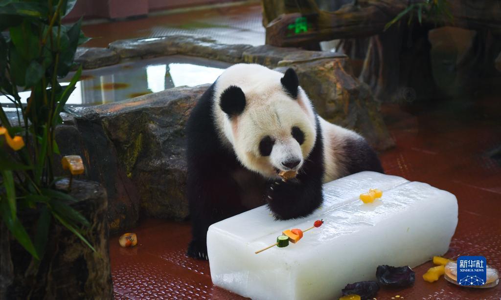 ??????? ?????? ???? ???? ?? ????? ????????