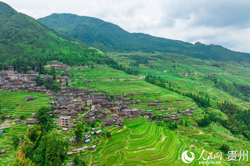 ??????: ?????? ???????? ??? ?? ??????? ???????