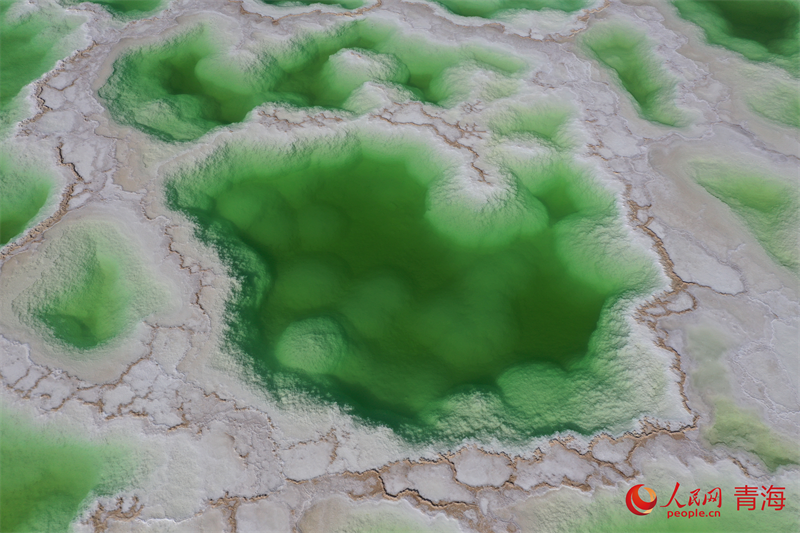 ????? ??????? ?? ????? ???? ???????? ????? ??? ???? ?????? ?? ??????? ?????? ???? ?? ?????