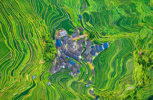 ??????: ?????? ???????? ??? ?? ??????? ???????