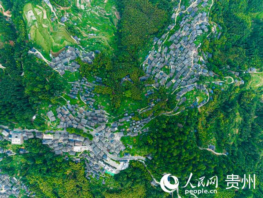 ?? ???? ????? ???????? ???? ???