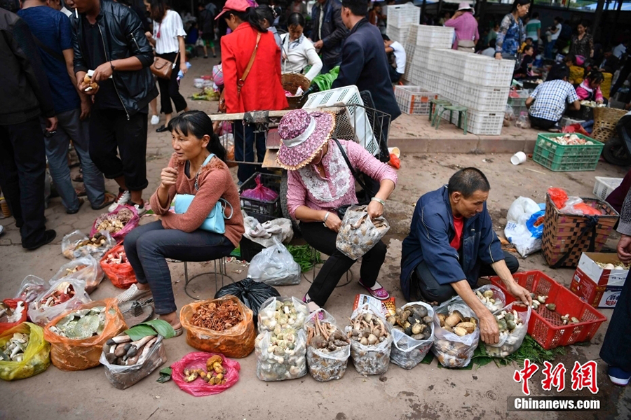 ????? ???? ????? ?? ?????? ?? ???? ???? ???????