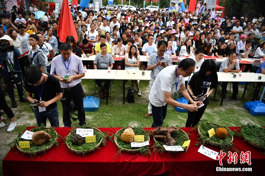 ????? ???? ????? ?? ?????? ?? ???? ???? ???????