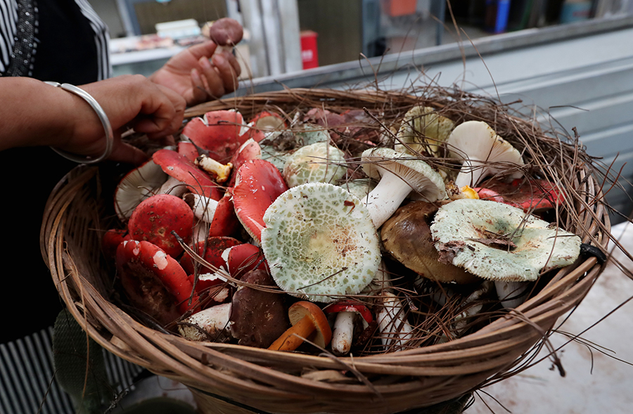 ????? ???? ????? ?? ?????? ?? ???? ???? ???????