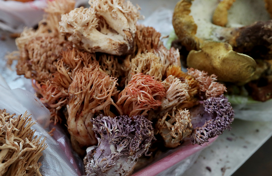 ????? ???? ????? ?? ?????? ?? ???? ???? ???????