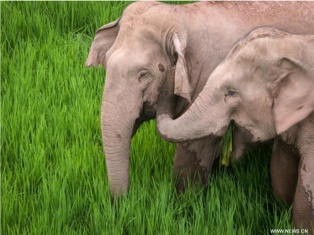 ??????? ???????? ?????? ?? ?????? ????? ??????